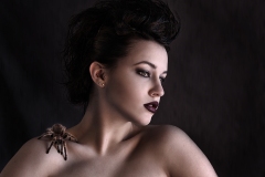 rachel-spider-121web